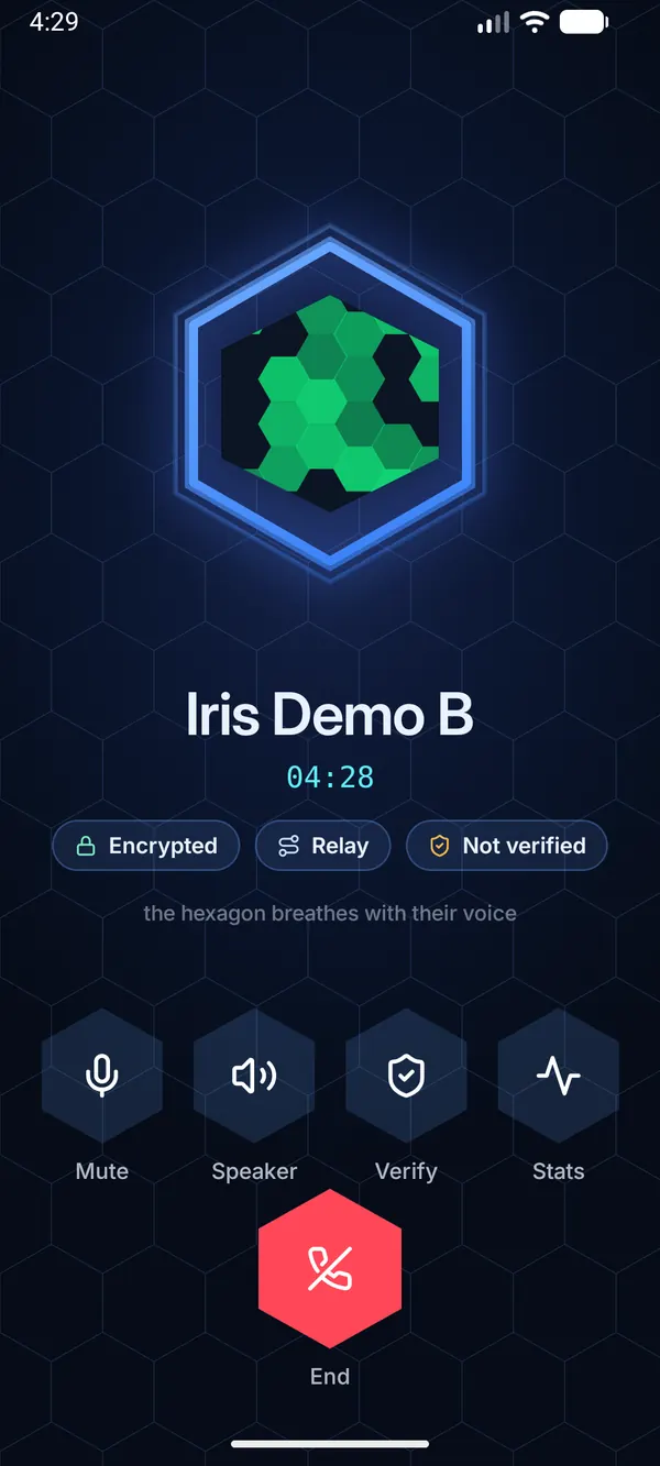 Voice call screen in the Living Hexagon look